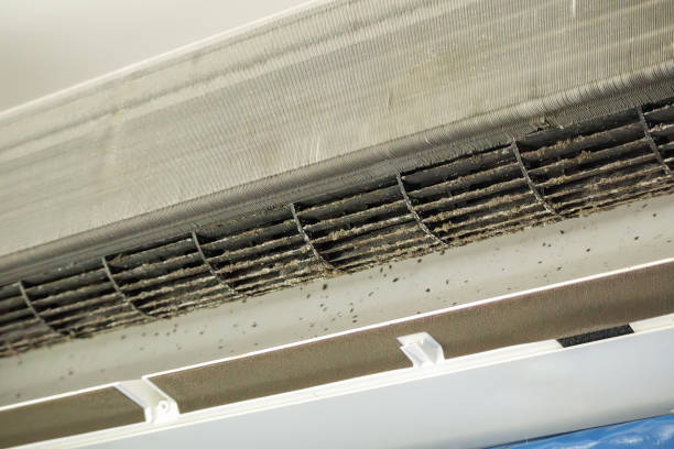 Best Professional Duct Cleaning Services  in Dianapolis, IN